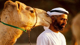 世界上最贵的骆驼：身价达1800万！只有迪拜王储才买的起